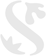 shinhanbank logo